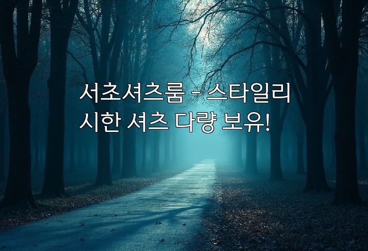 서초셔츠룸 - 스타일리시한 셔츠 다량 보유!