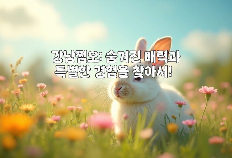 강남쩜오: 숨겨진 매력과 특별한 경험을 찾아서!