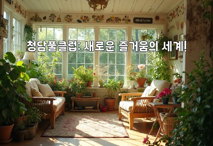 청담풀클럽: 새로운 즐거움의 세계!